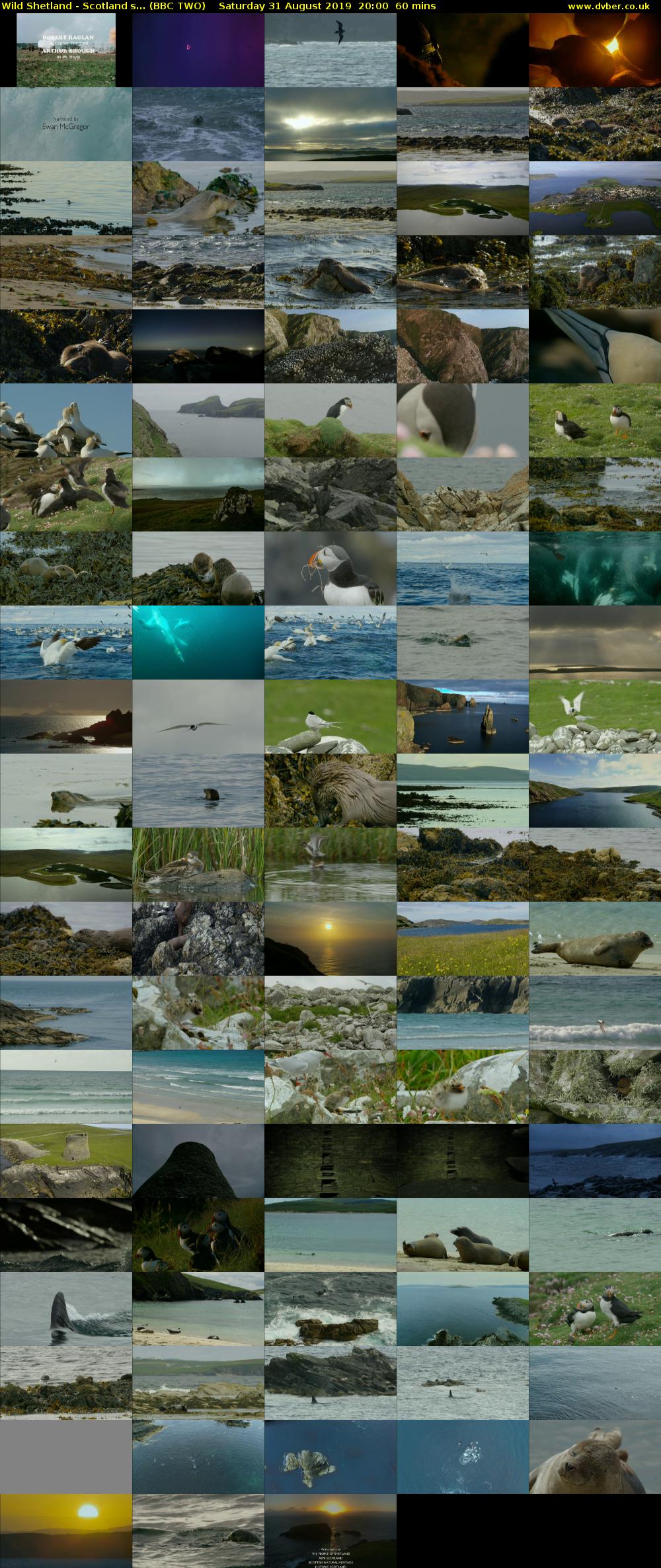 Wild Shetland - Scotlands... (BBC TWO) Saturday 31 August 2019 20:00 - 21:00