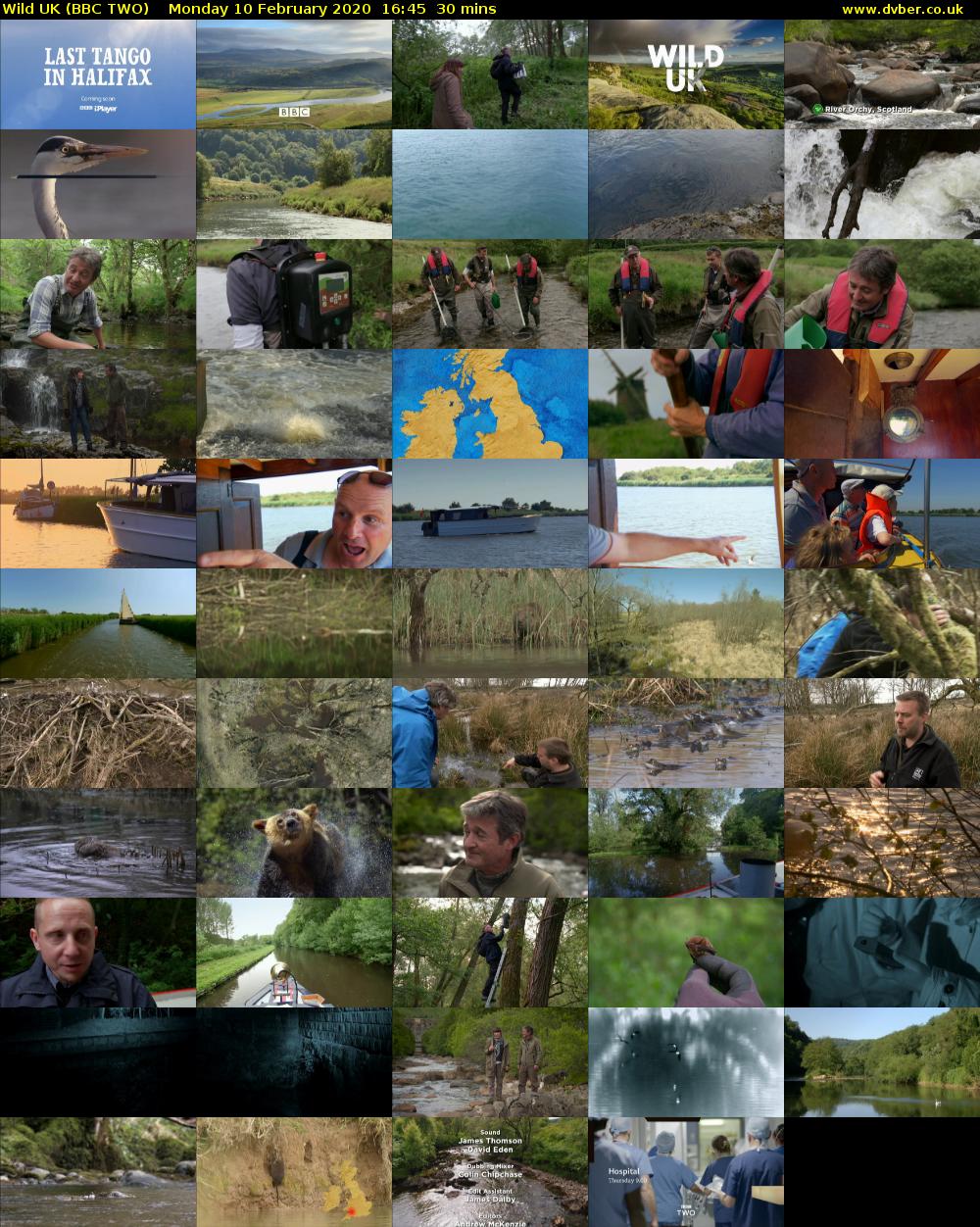 Wild UK (BBC TWO) Monday 10 February 2020 16:45 - 17:15