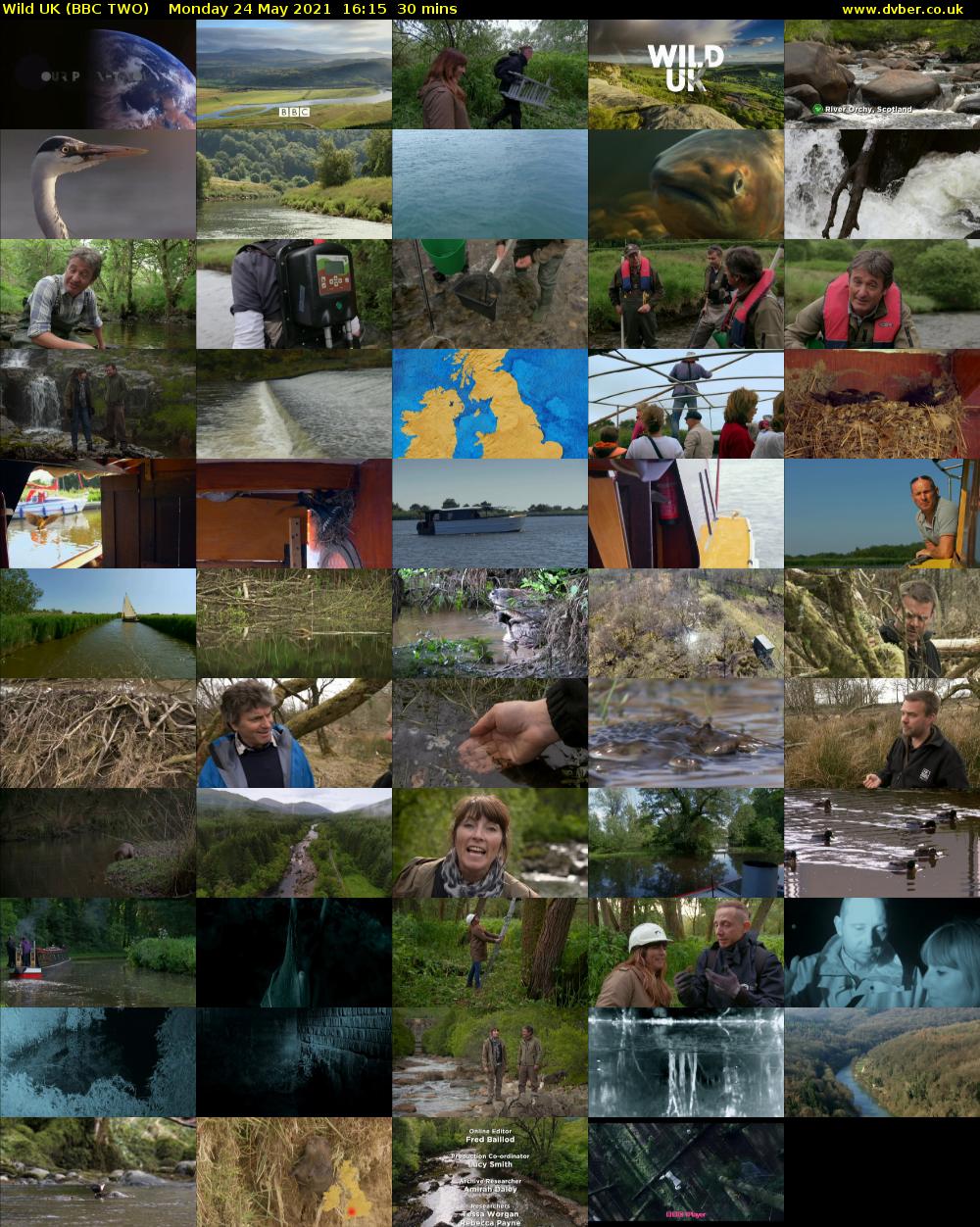 Wild UK (BBC TWO) Monday 24 May 2021 16:15 - 16:45