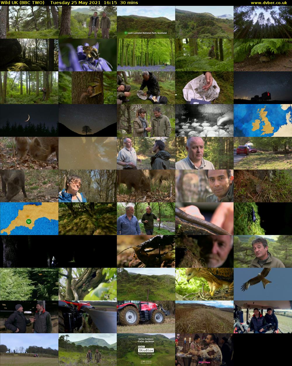 Wild UK (BBC TWO) Tuesday 25 May 2021 16:15 - 16:45
