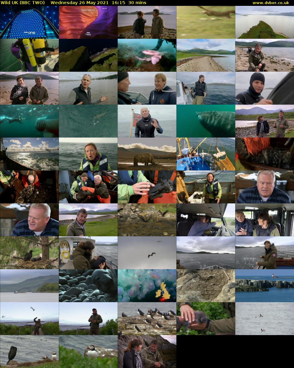 Wild UK (BBC TWO) Wednesday 26 May 2021 16:15 - 16:45