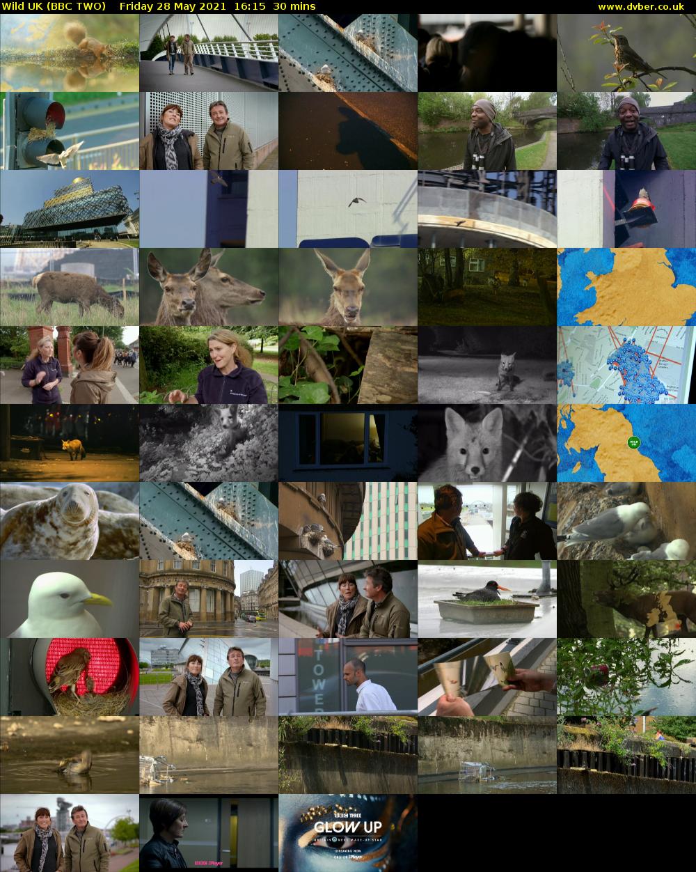 Wild UK (BBC TWO) Friday 28 May 2021 16:15 - 16:45
