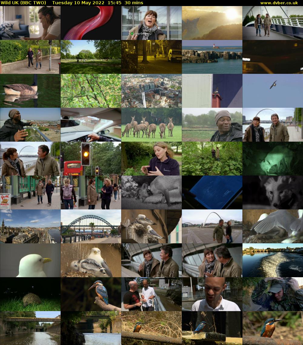 Wild UK (BBC TWO) Tuesday 10 May 2022 15:45 - 16:15