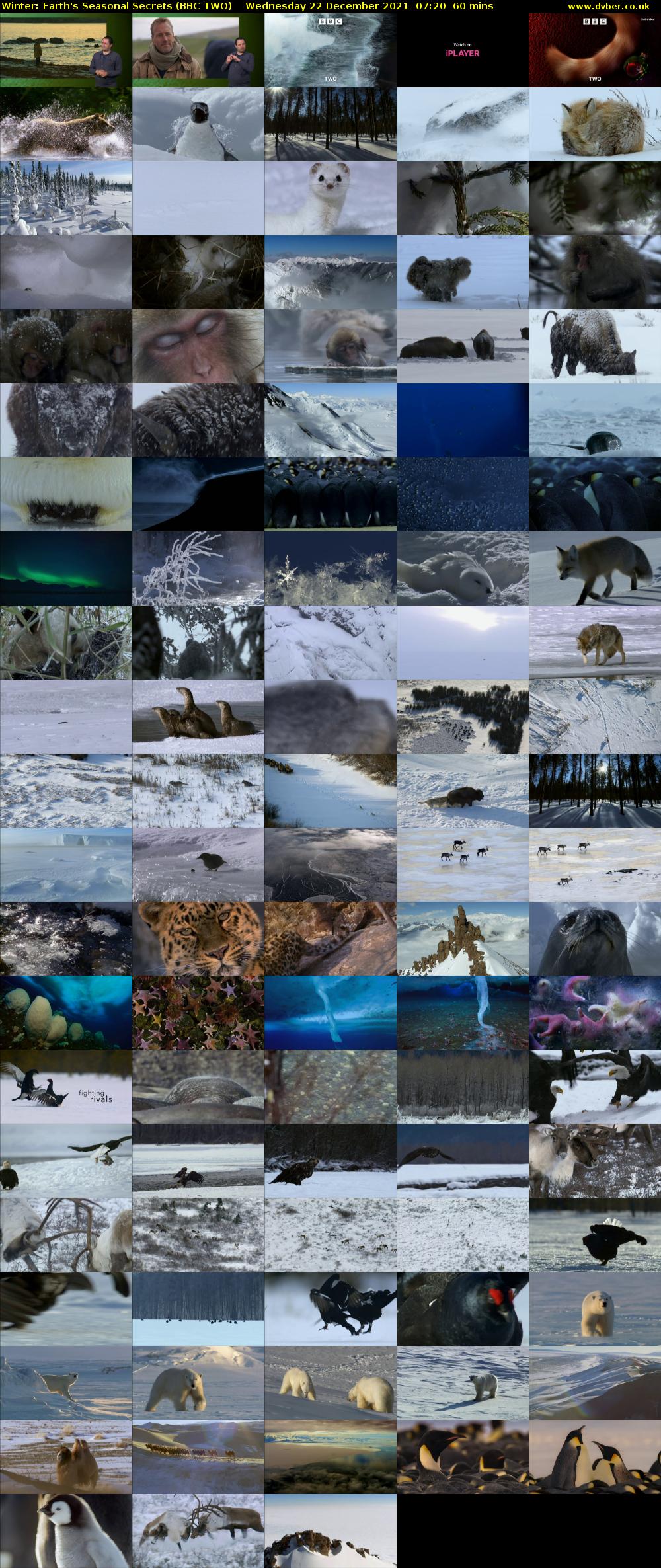 Winter: Earth's Seasonal Secrets (BBC TWO) Wednesday 22 December 2021 07:20 - 08:20