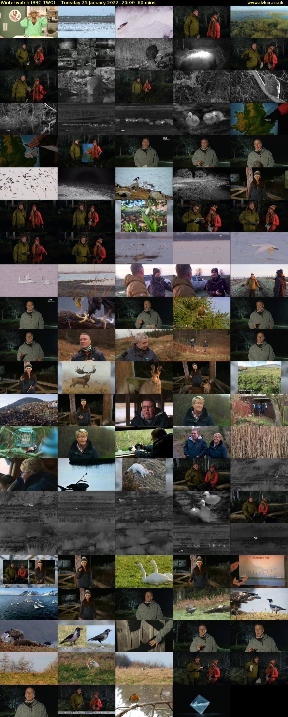 Winterwatch (BBC TWO) Tuesday 25 January 2022 20:00 - 21:00