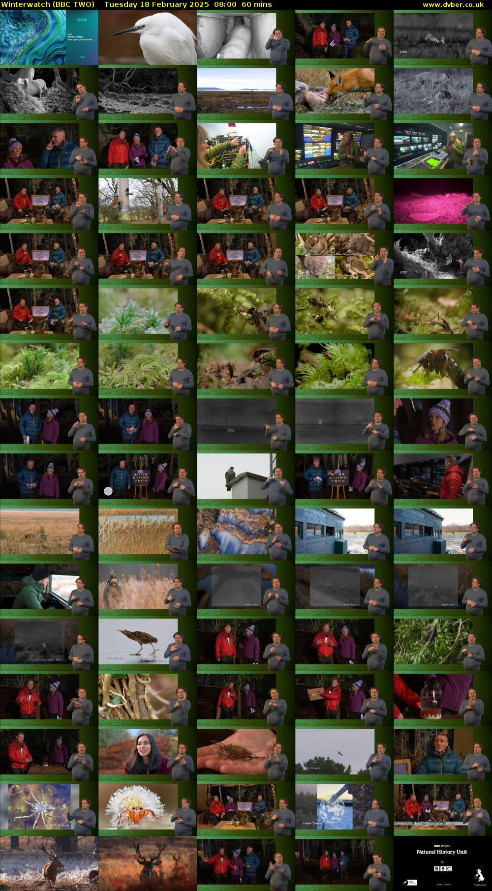 Winterwatch (BBC TWO) Tuesday 18 February 2025 08:00 - 09:00