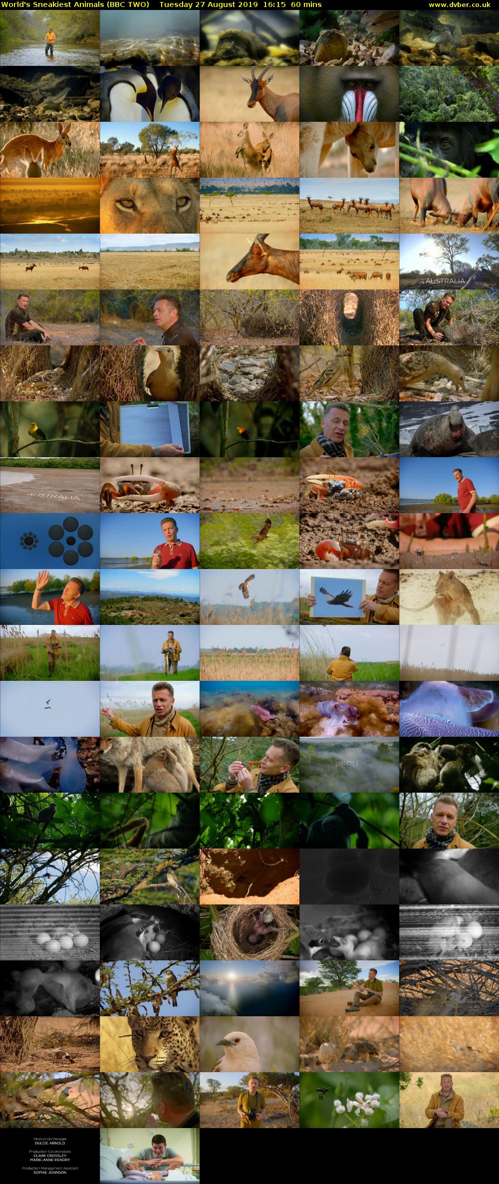 World's Sneakiest Animals (BBC TWO) Tuesday 27 August 2019 16:15 - 17:15