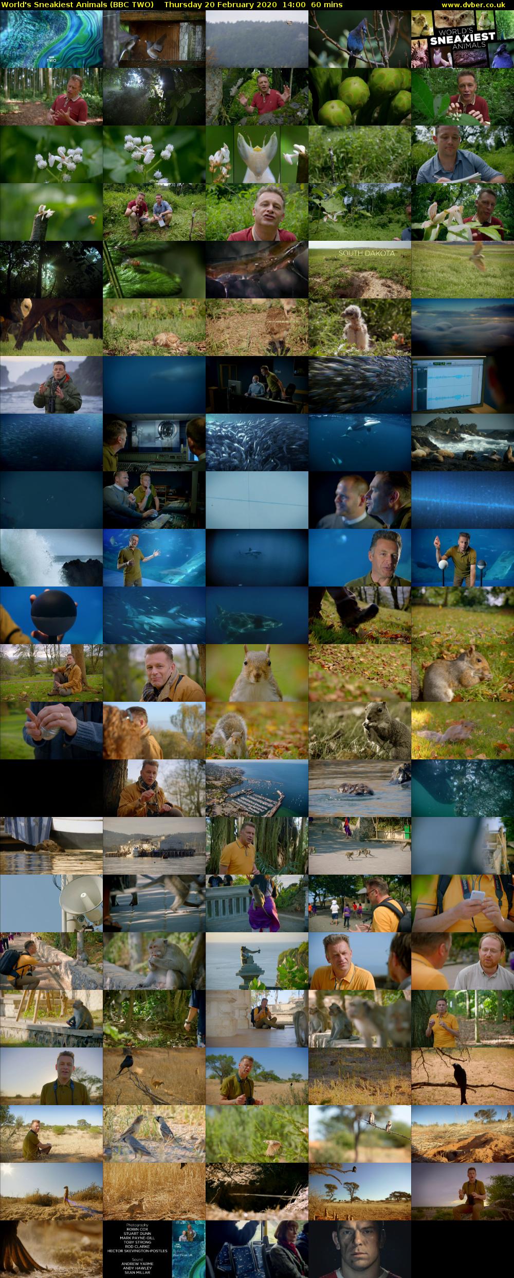 World's Sneakiest Animals (BBC TWO) Thursday 20 February 2020 14:00 - 15:00