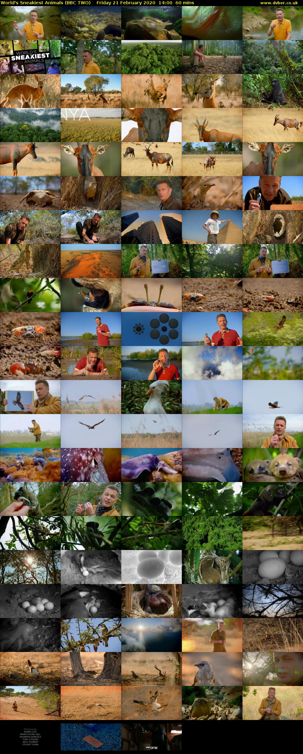World's Sneakiest Animals (BBC TWO) Friday 21 February 2020 14:00 - 15:00