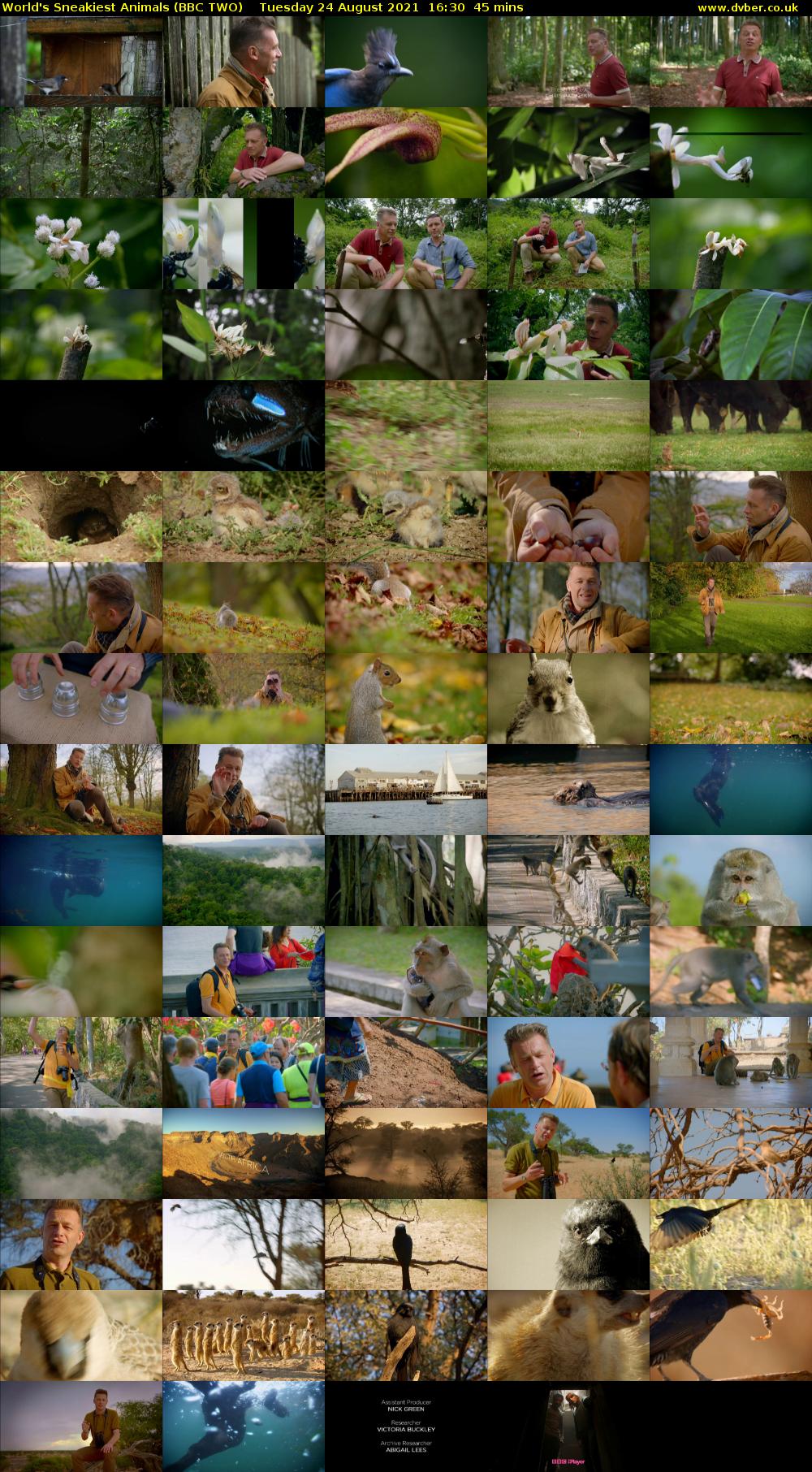 World's Sneakiest Animals (BBC TWO) Tuesday 24 August 2021 16:30 - 17:15