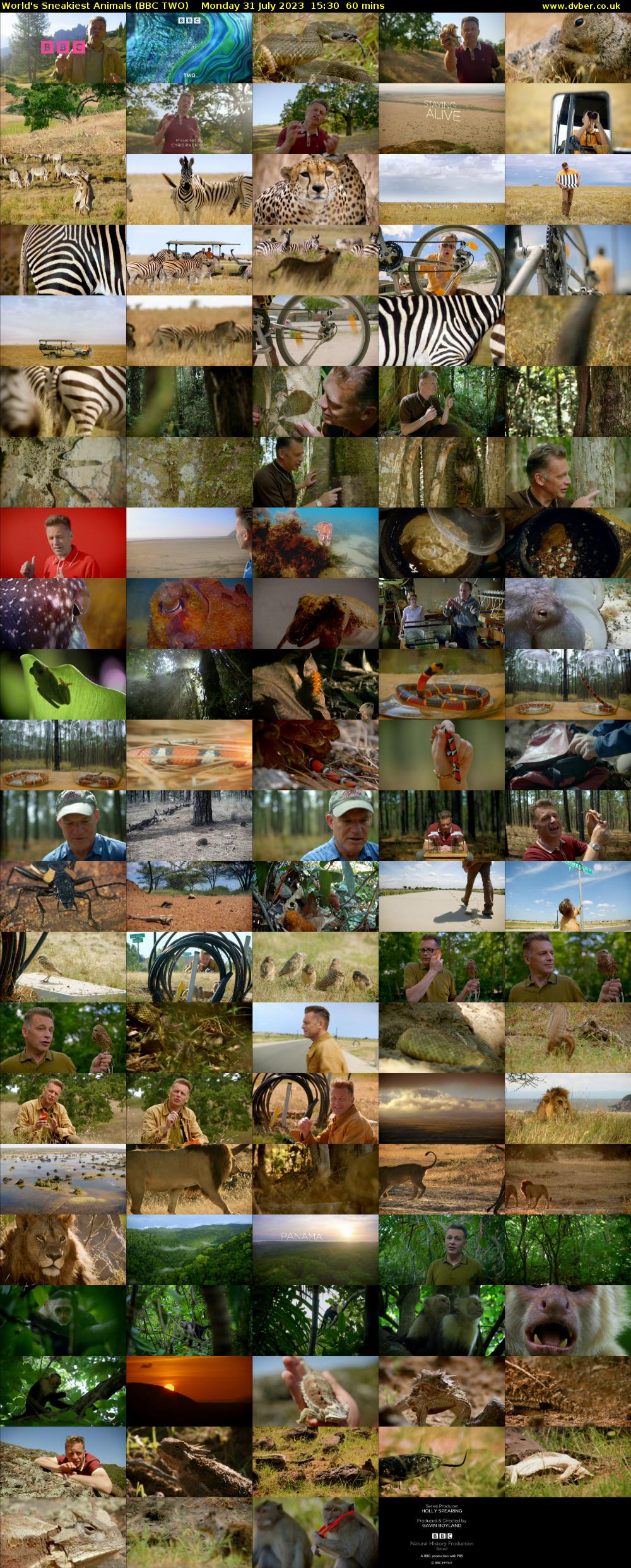 World's Sneakiest Animals (BBC TWO) Monday 31 July 2023 15:30 - 16:30