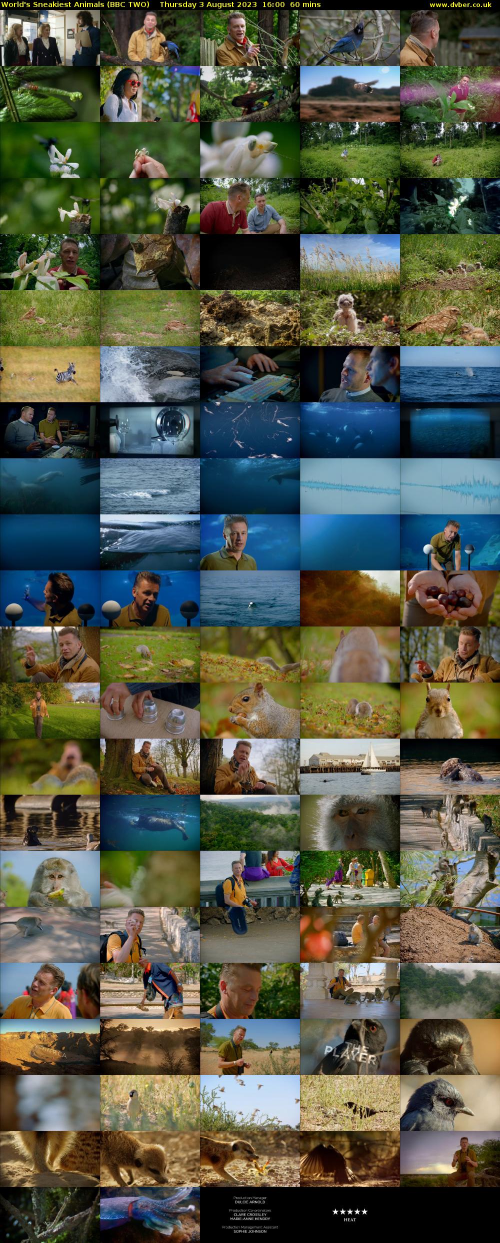 World's Sneakiest Animals (BBC TWO) Thursday 3 August 2023 16:00 - 17:00