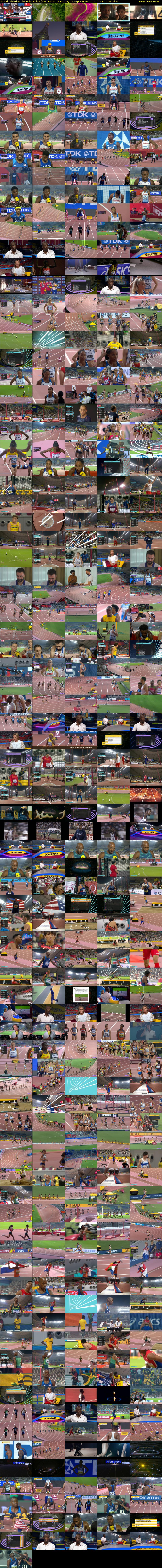 World Athletics Championships (BBC TWO) Saturday 28 September 2019 16:30 - 20:30