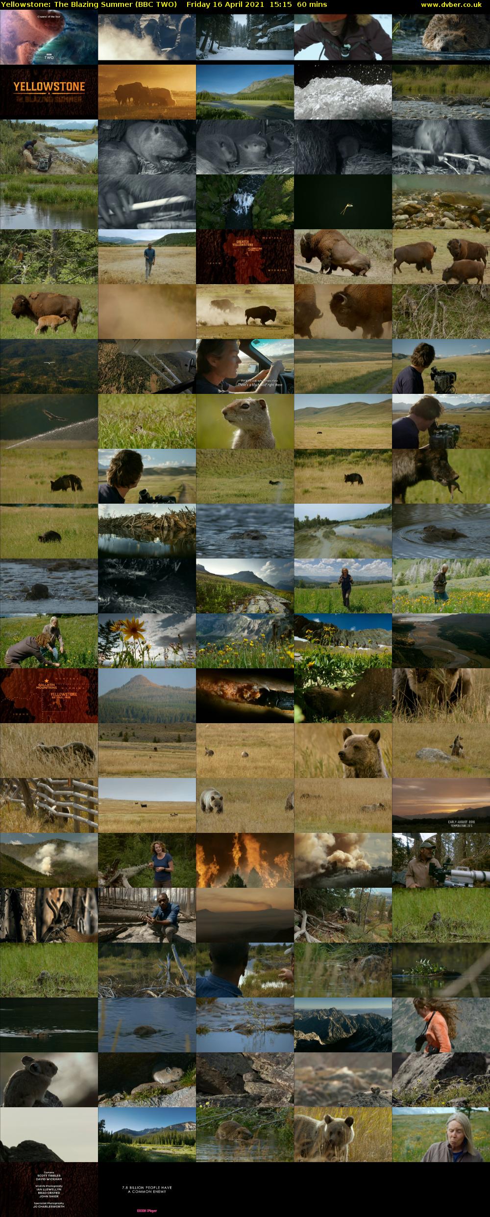 Yellowstone: The Blazing Summer (BBC TWO) Friday 16 April 2021 15:15 - 16:15