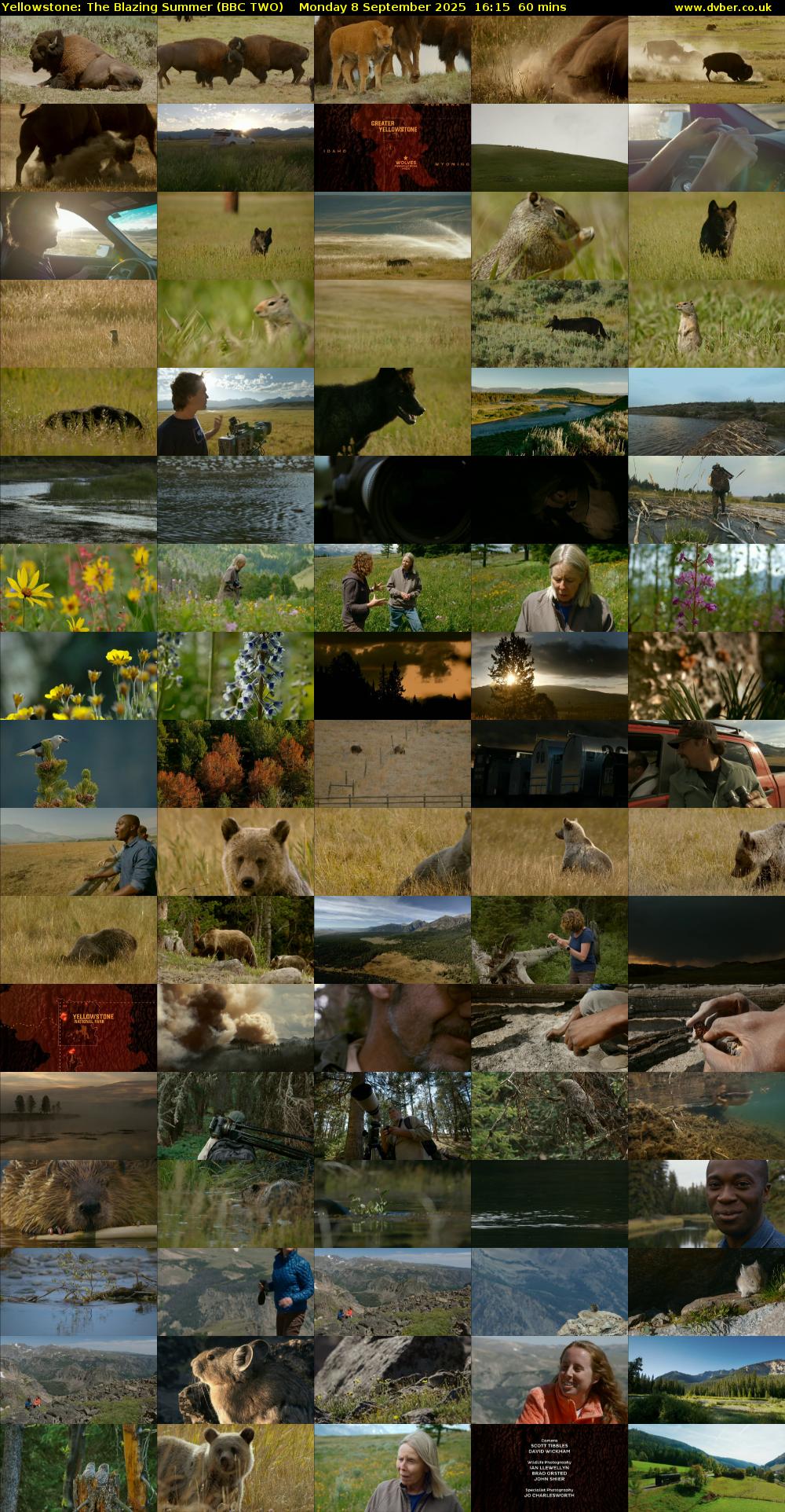Yellowstone: The Blazing Summer (BBC TWO) Monday 8 September 2025 16:15 - 17:15
