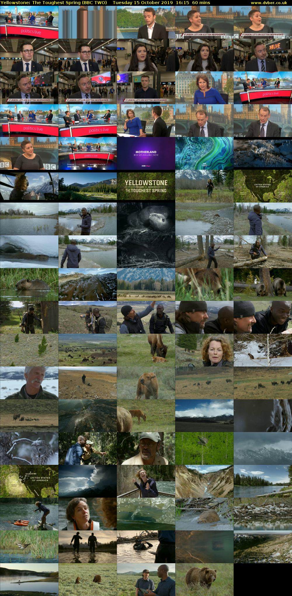 Yellowstone: The Toughest Spring (BBC TWO) Tuesday 15 October 2019 16:15 - 17:15
