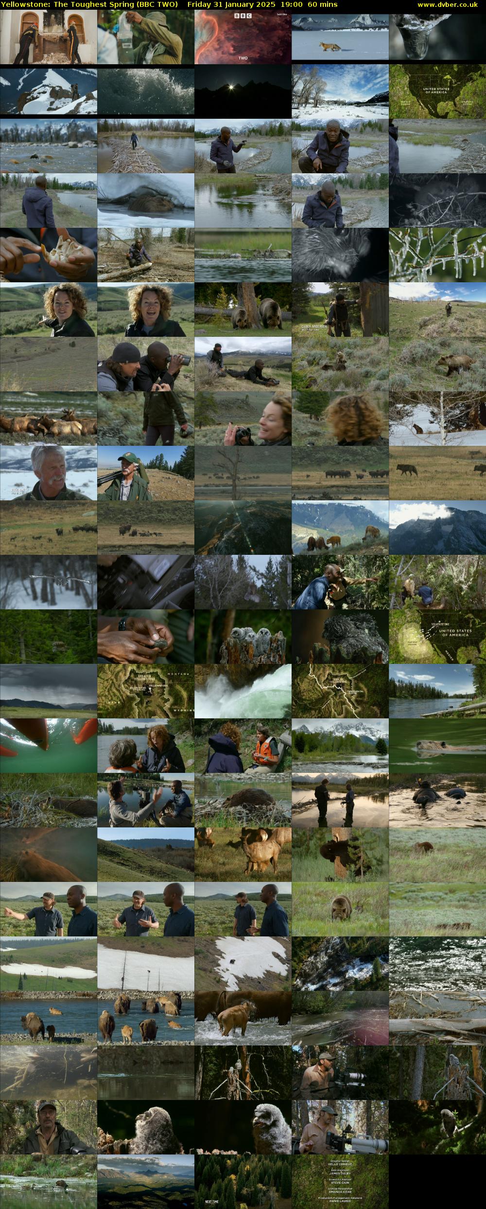 Yellowstone: The Toughest Spring (BBC TWO) Friday 31 January 2025 19:00 - 20:00
