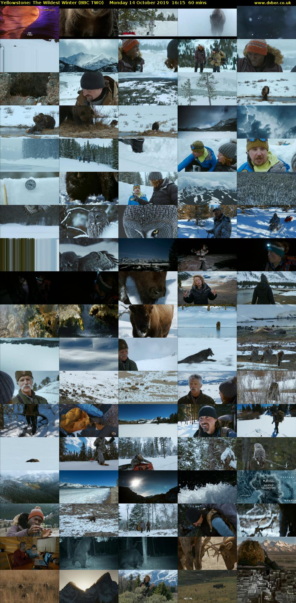 Yellowstone: The Wildest Winter (BBC TWO) Monday 14 October 2019 16:15 - 17:15