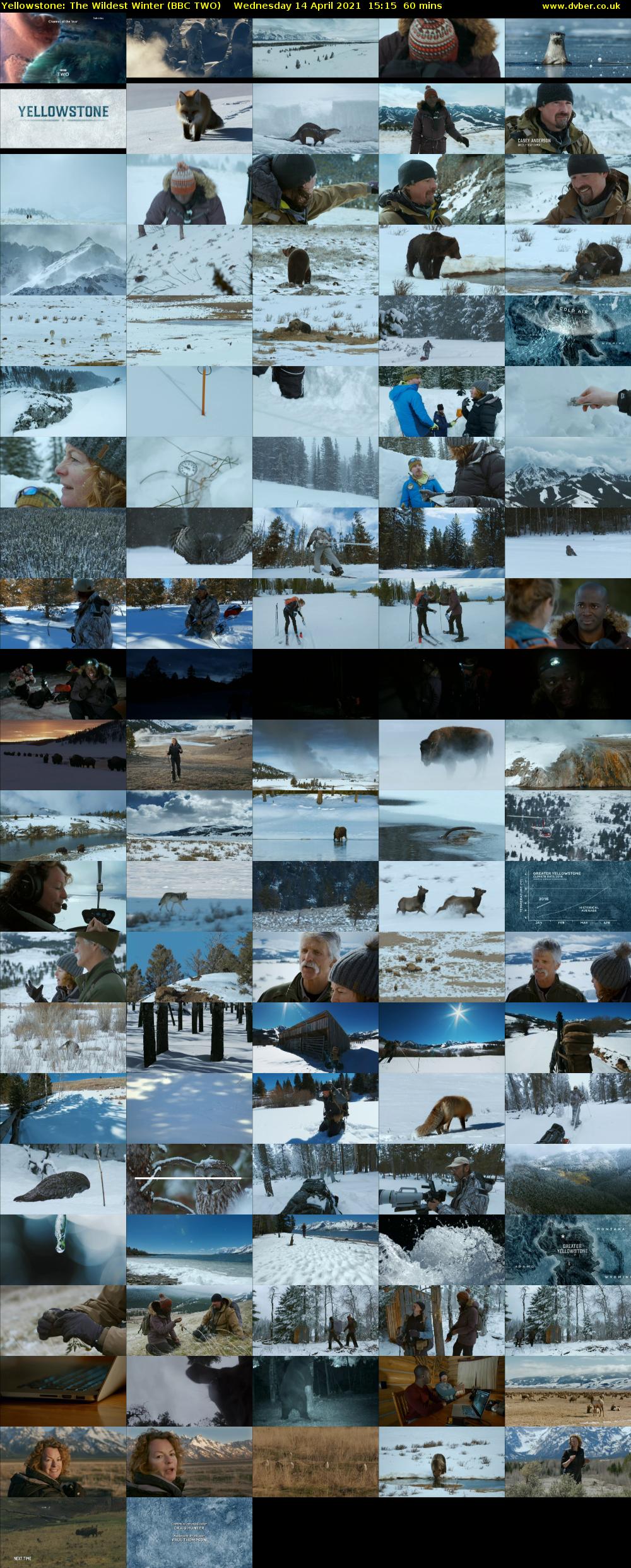 Yellowstone: The Wildest Winter (BBC TWO) Wednesday 14 April 2021 15:15 - 16:15