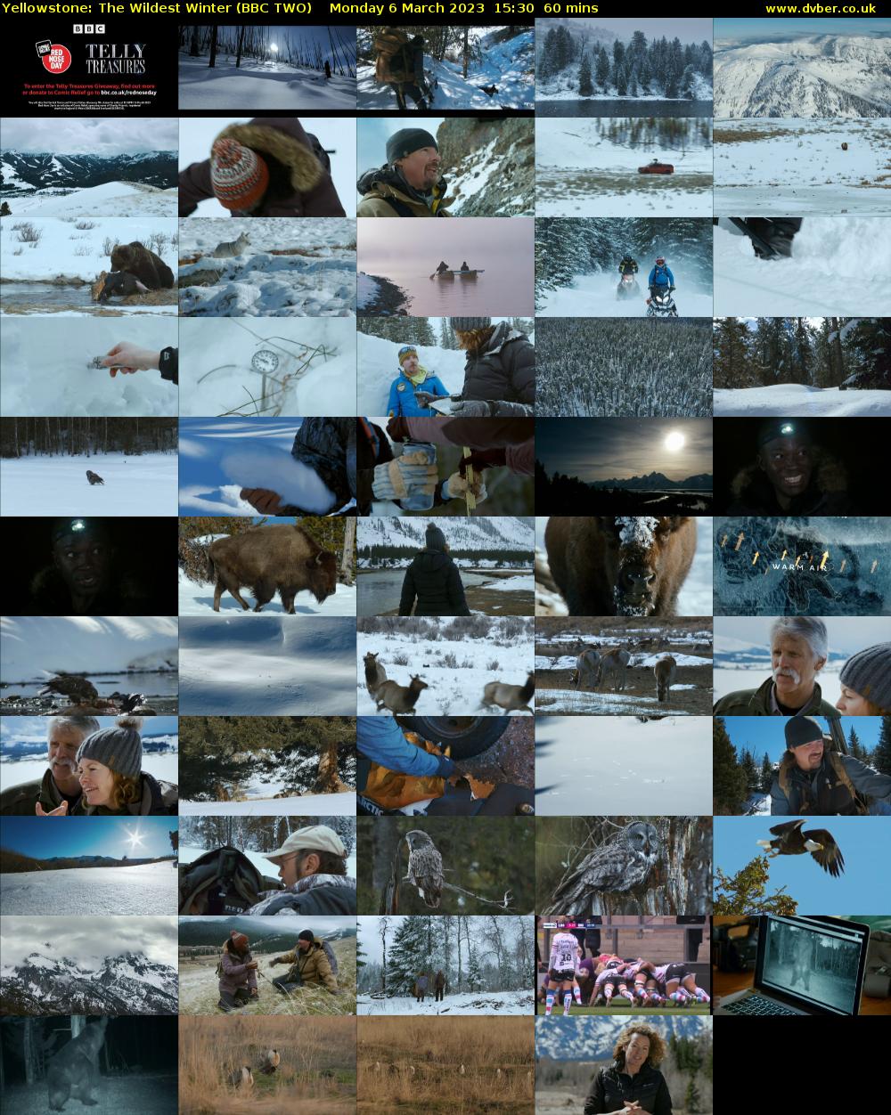 Yellowstone: The Wildest Winter (BBC TWO) Monday 6 March 2023 15:30 - 16:30