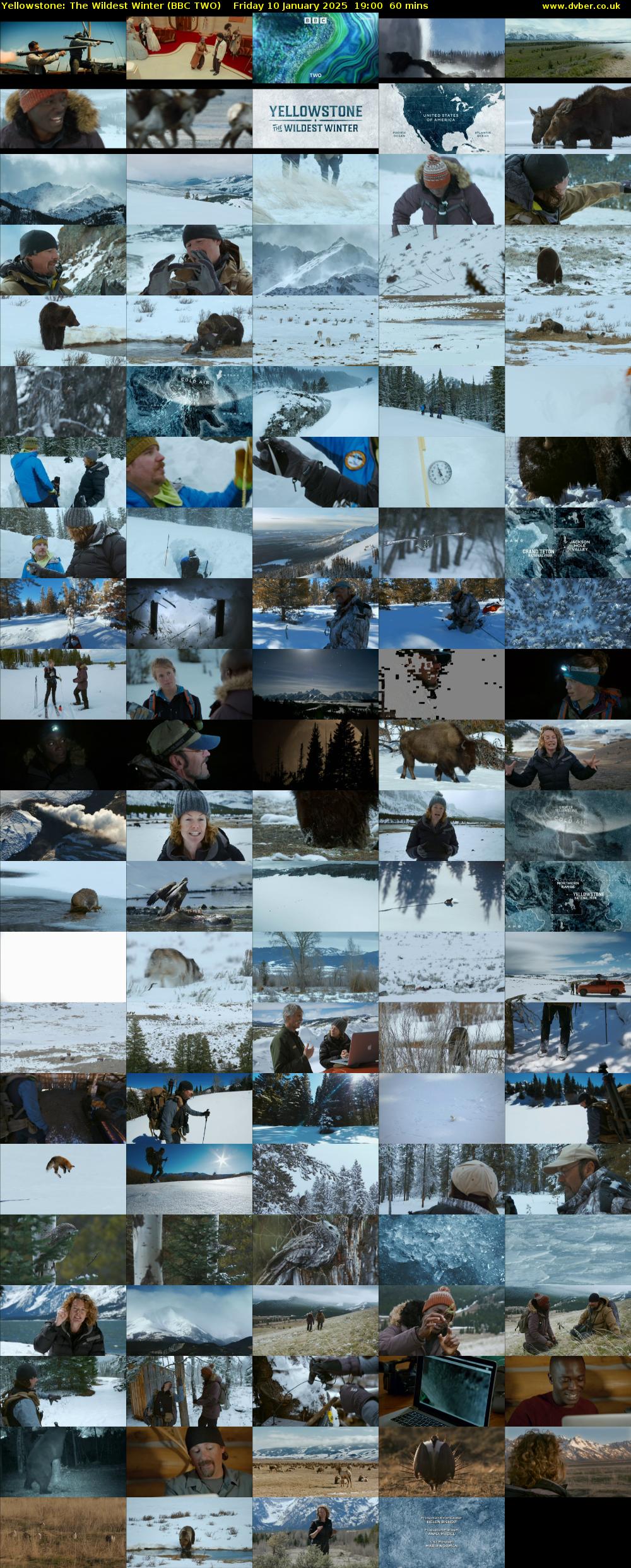 Yellowstone: The Wildest Winter (BBC TWO) Friday 10 January 2025 19:00 - 20:00