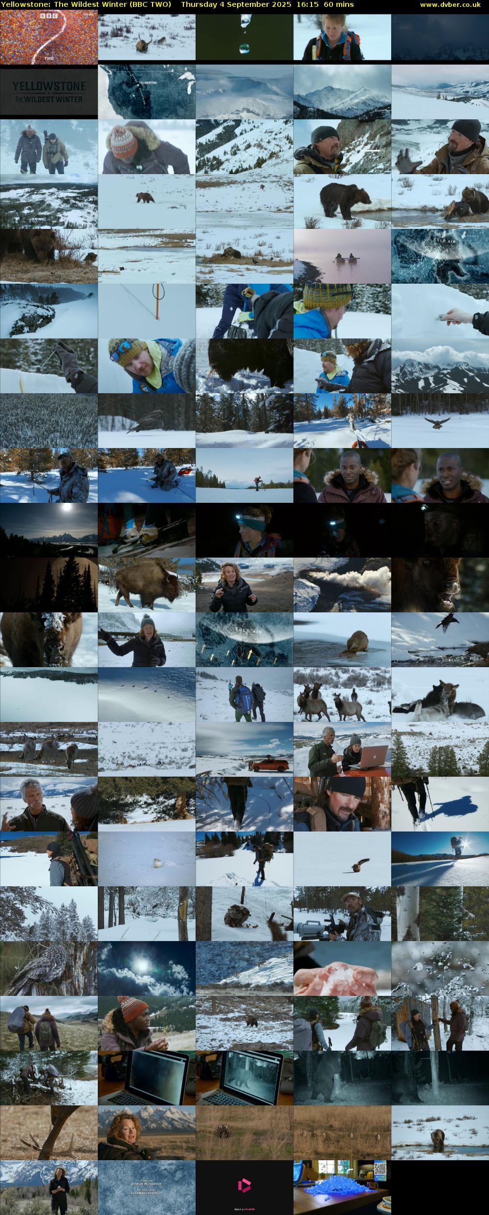 Yellowstone: The Wildest Winter (BBC TWO) Thursday 4 September 2025 16:15 - 17:15