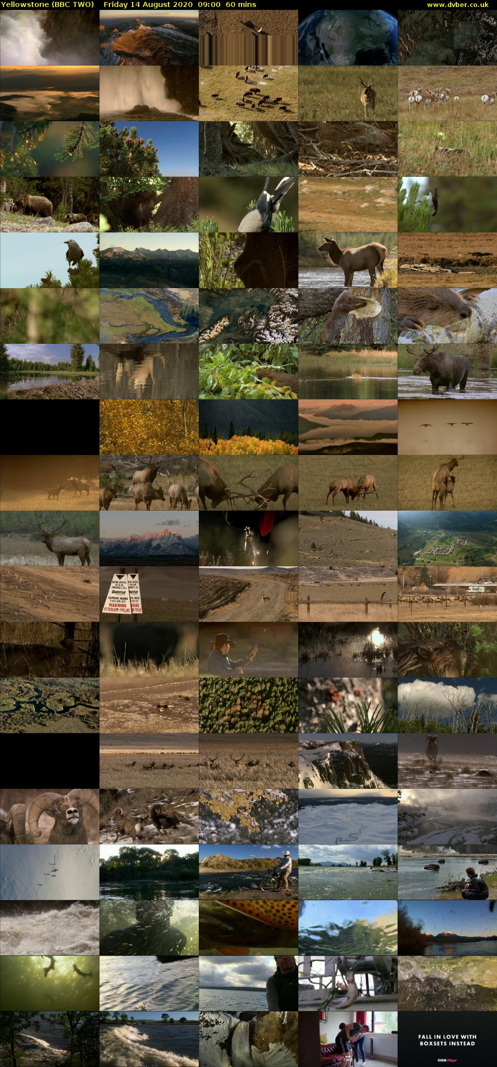 Yellowstone (BBC TWO) Friday 14 August 2020 09:00 - 10:00