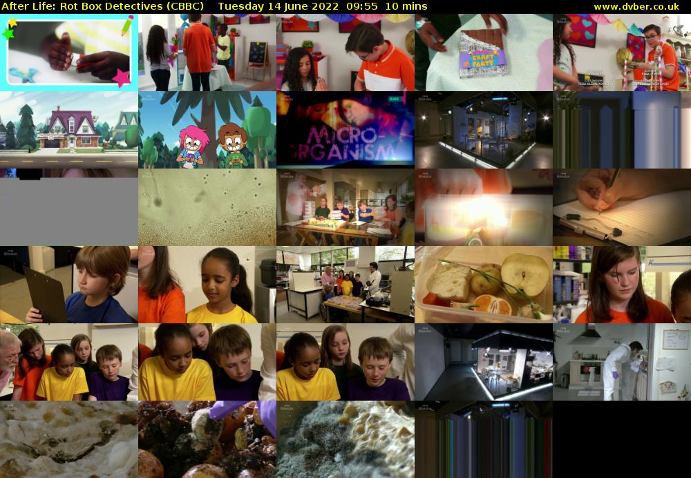 After Life: Rot Box Detectives (CBBC) Tuesday 14 June 2022 09:55 - 10:05