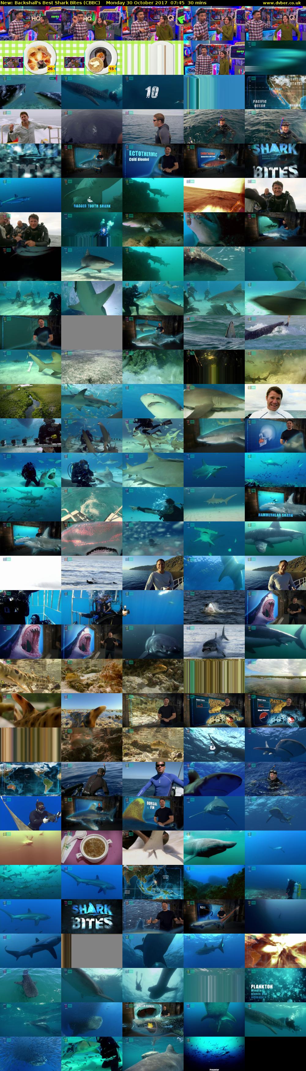 Backshall's Best Shark Bites (CBBC) Monday 30 October 2017 07:45 - 08:15