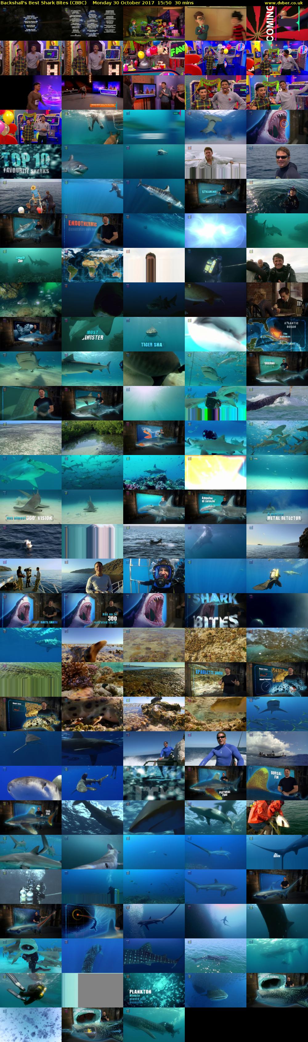 Backshall's Best Shark Bites (CBBC) Monday 30 October 2017 15:50 - 16:20