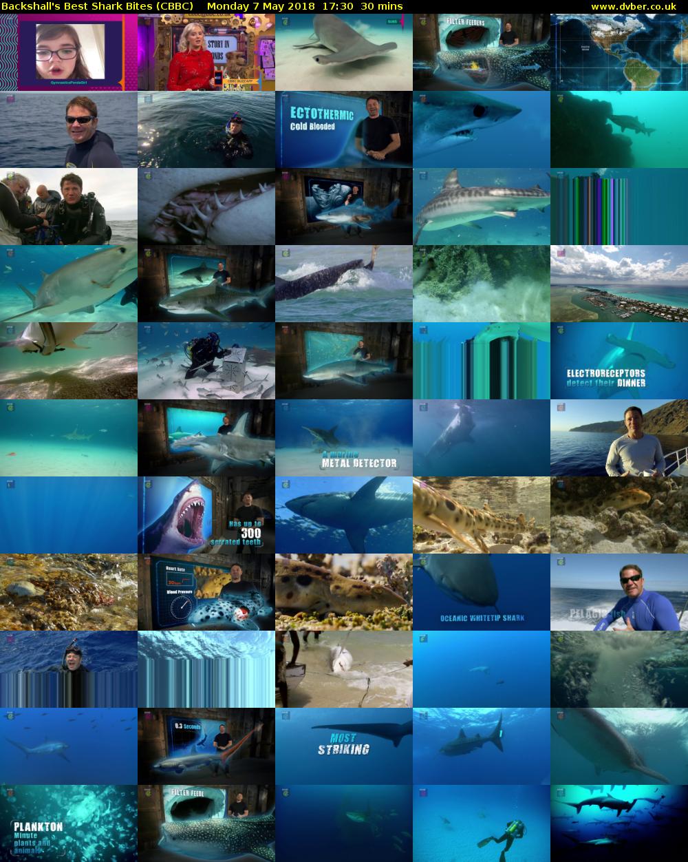Backshall's Best Shark Bites (CBBC) Monday 7 May 2018 17:30 - 18:00