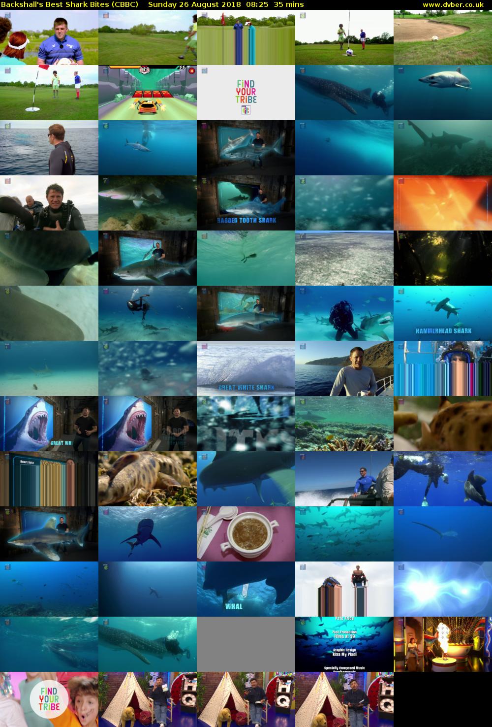 Backshall's Best Shark Bites (CBBC) Sunday 26 August 2018 08:25 - 09:00