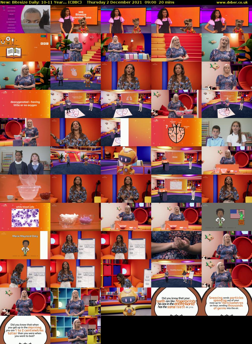 Bitesize Daily: 10-11 Year... (CBBC) Thursday 2 December 2021 09:00 - 09:20