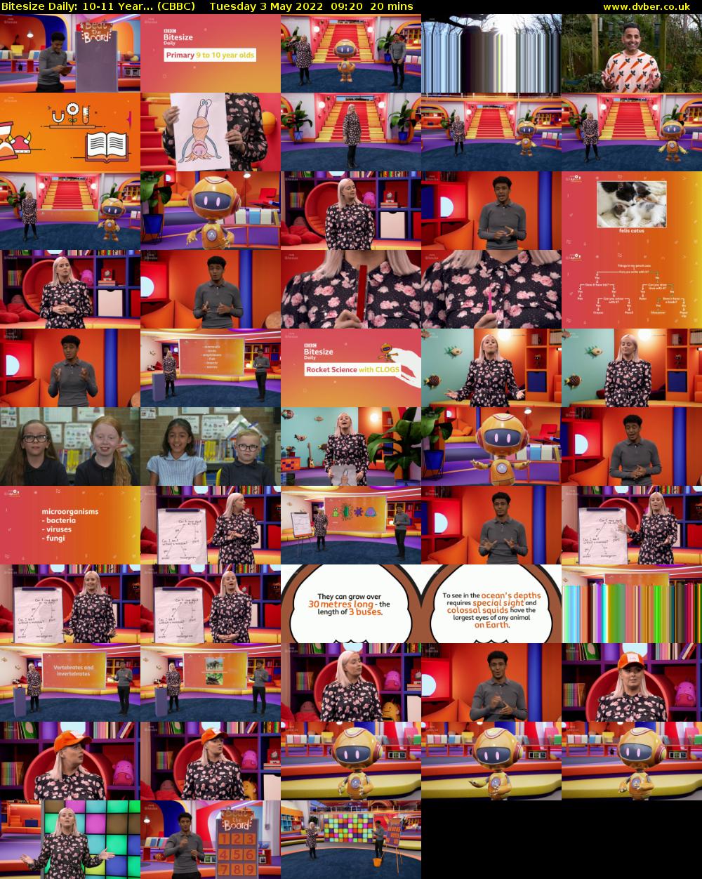Bitesize Daily: 10-11 Year... (CBBC) Tuesday 3 May 2022 09:20 - 09:40