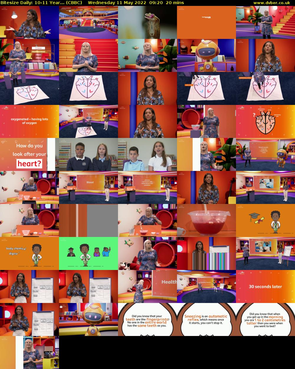 Bitesize Daily: 10-11 Year... (CBBC) Wednesday 11 May 2022 09:20 - 09:40