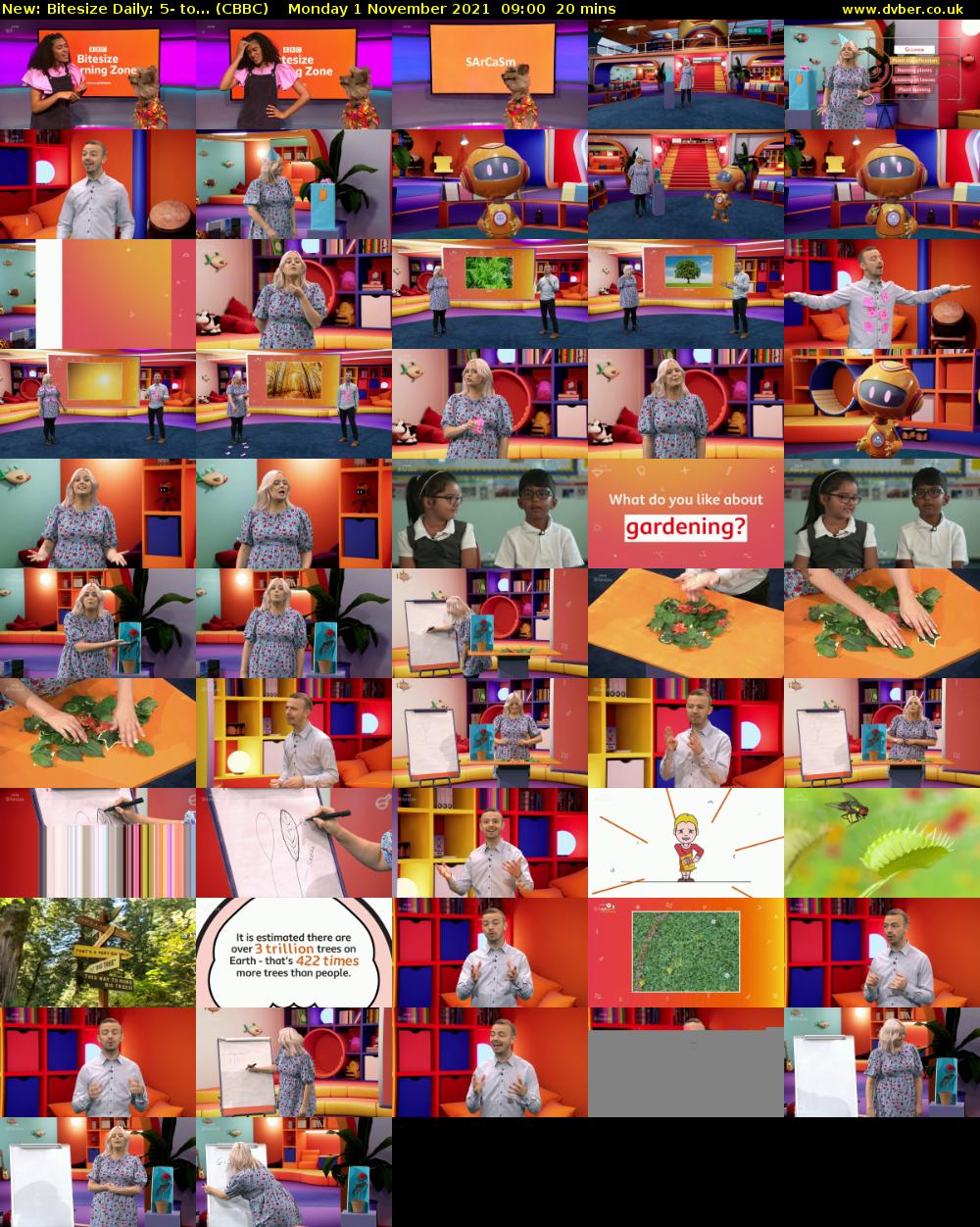 Bitesize Daily: 5- to... (CBBC) Monday 1 November 2021 09:00 - 09:20