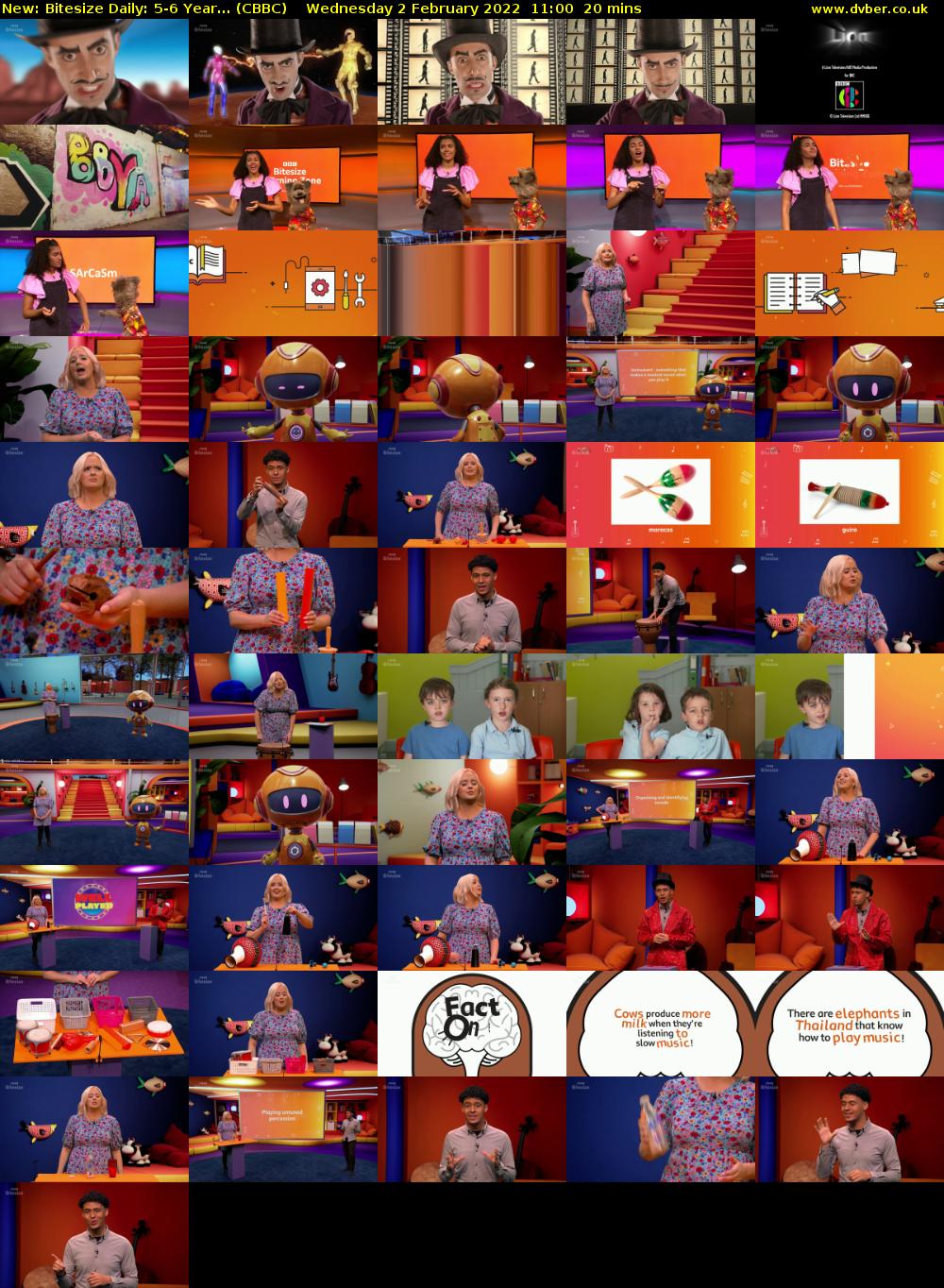 Bitesize Daily: 5-6 Year... (CBBC) Wednesday 2 February 2022 11:00 - 11:20