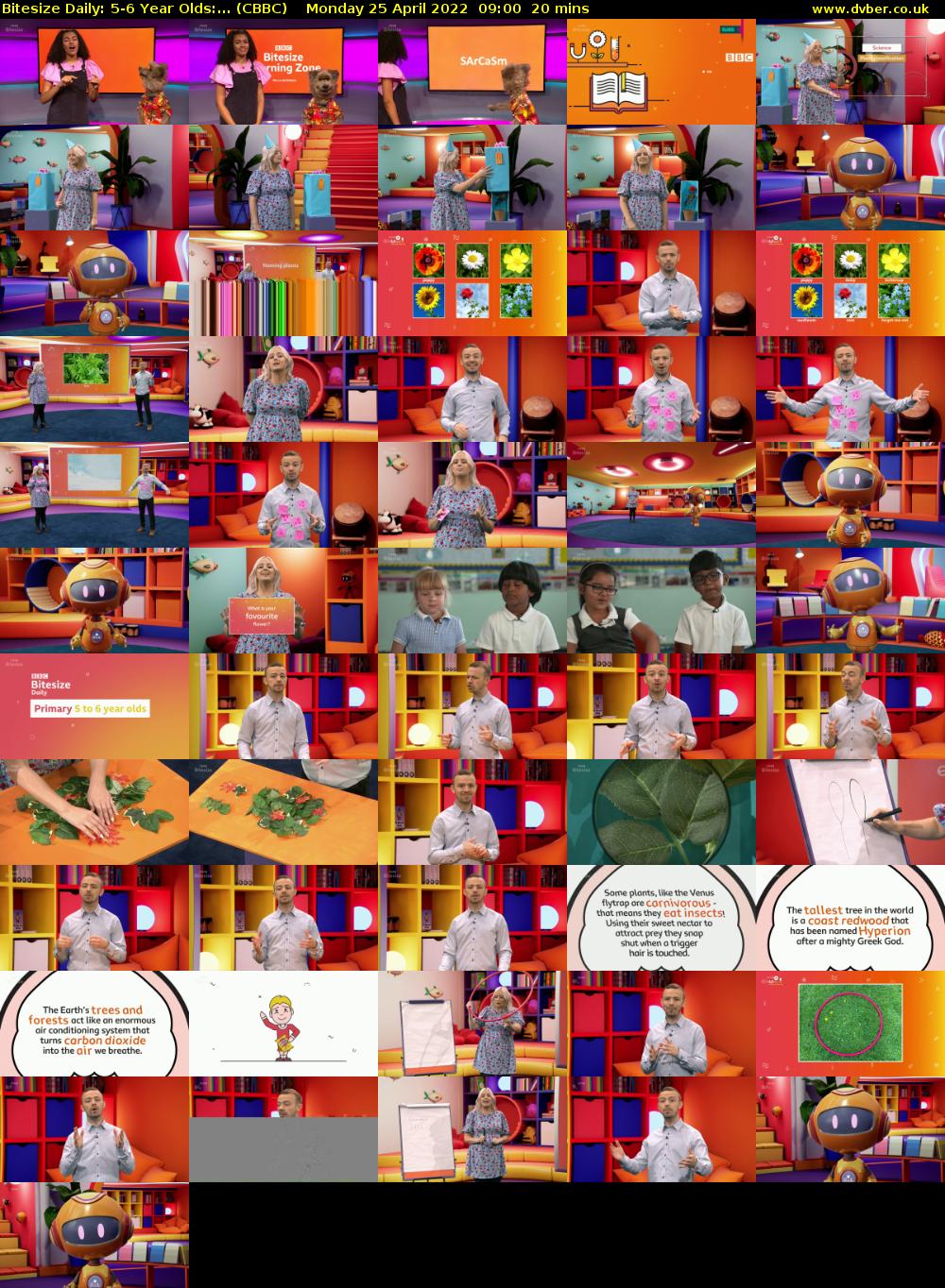 Bitesize Daily: 5-6 Year Olds:... (CBBC) Monday 25 April 2022 09:00 - 09:20