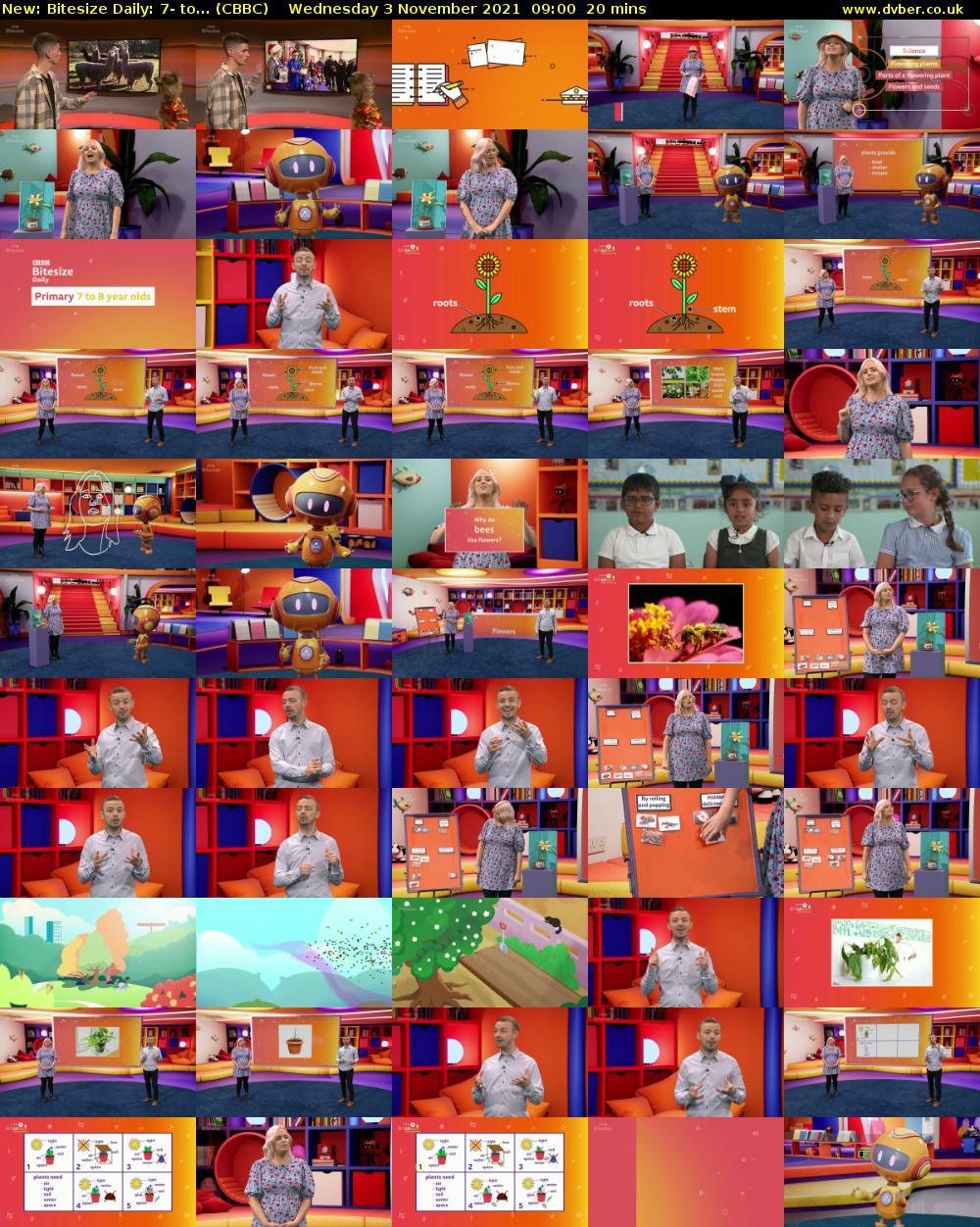 Bitesize Daily: 7- to... (CBBC) Wednesday 3 November 2021 09:00 - 09:20
