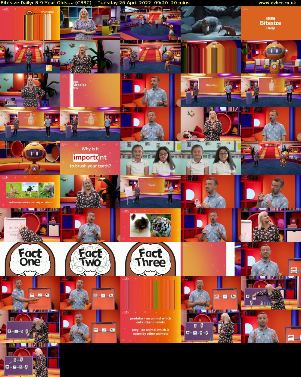 Bitesize Daily: 8-9 Year Olds:... (CBBC) Tuesday 26 April 2022 09:20 - 09:40