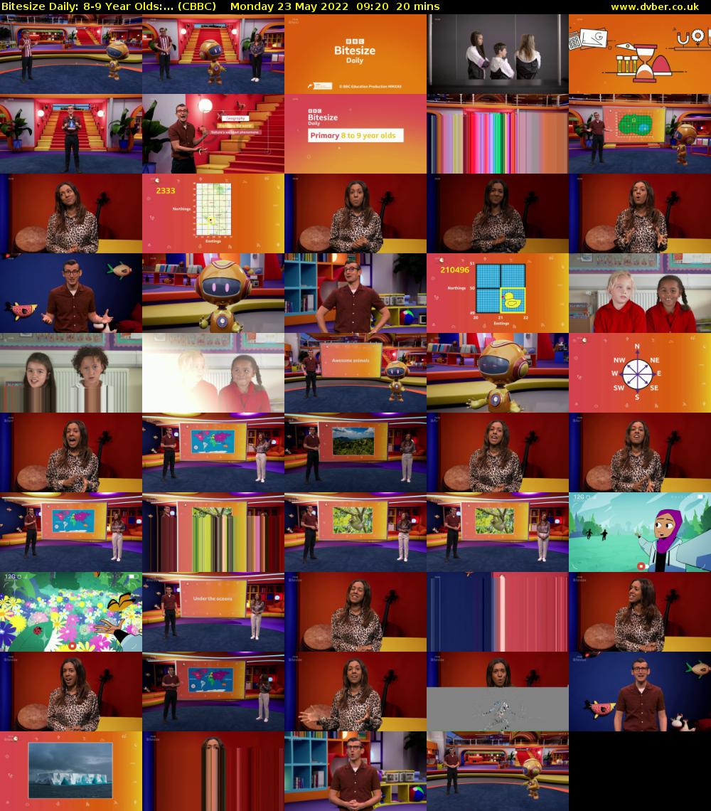 Bitesize Daily: 8-9 Year Olds:... (CBBC) Monday 23 May 2022 09:20 - 09:40