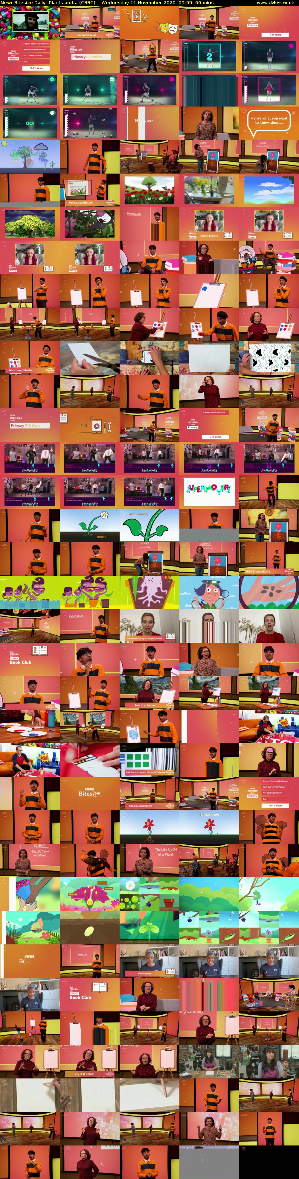 Bitesize Daily: Plants and... (CBBC) Wednesday 11 November 2020 09:05 - 10:05