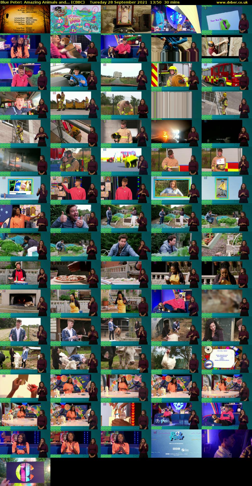 Blue Peter: Amazing Animals and... (CBBC) Tuesday 28 September 2021 13:50 - 14:20