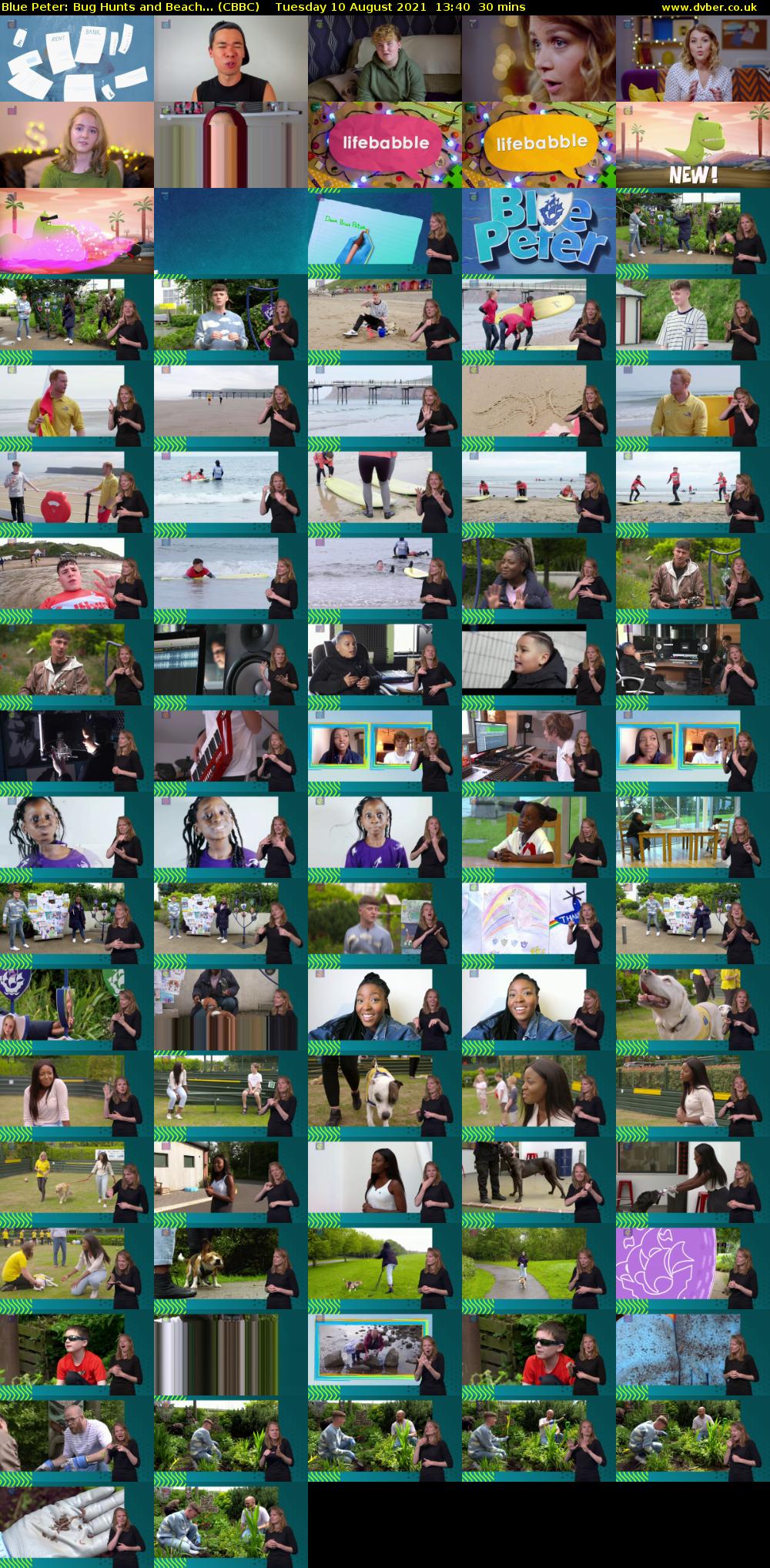 Blue Peter: Bug Hunts and Beach... (CBBC) Tuesday 10 August 2021 13:40 - 14:10