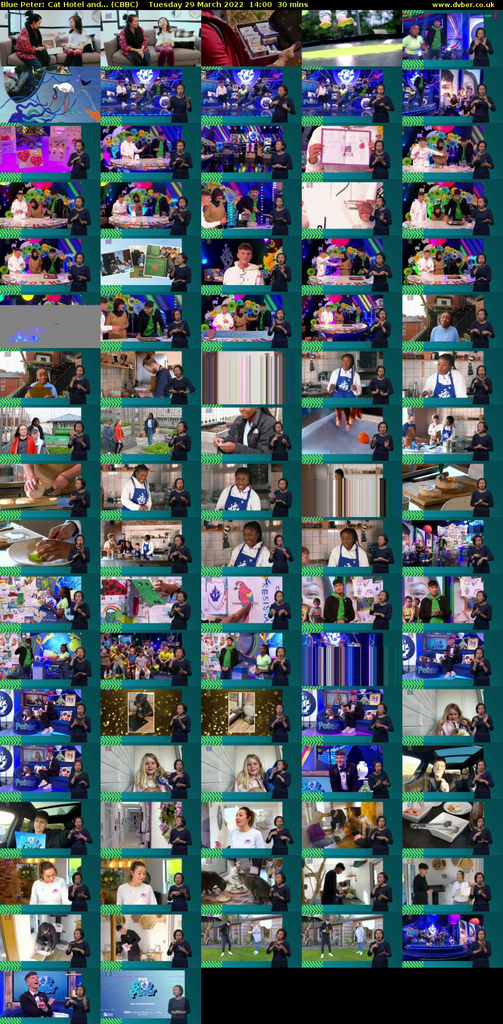 Blue Peter: Cat Hotel and... (CBBC) Tuesday 29 March 2022 14:00 - 14:30