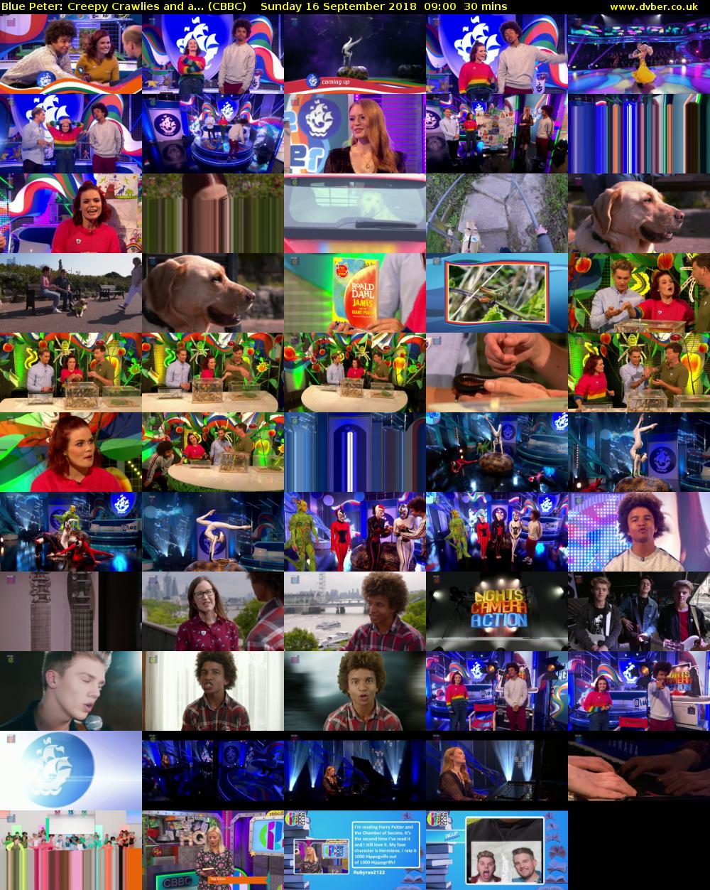 Blue Peter: Creepy Crawlies and a... (CBBC) Sunday 16 September 2018 09:00 - 09:30