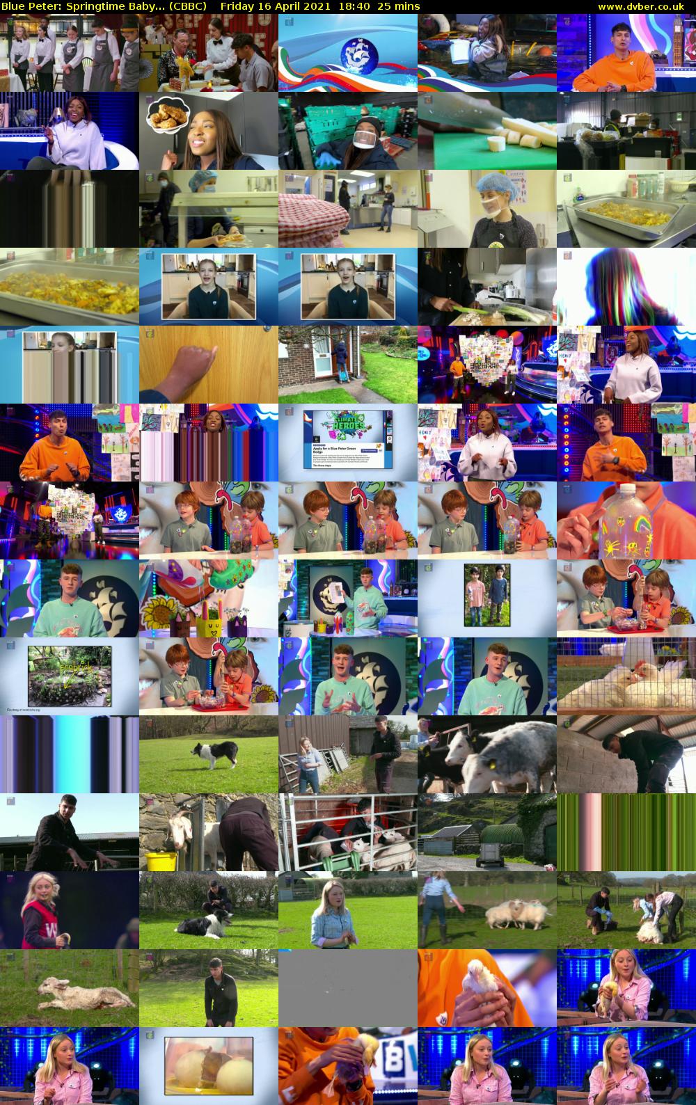 Blue Peter: Springtime Baby... (CBBC) Friday 16 April 2021 18:40 - 19:05