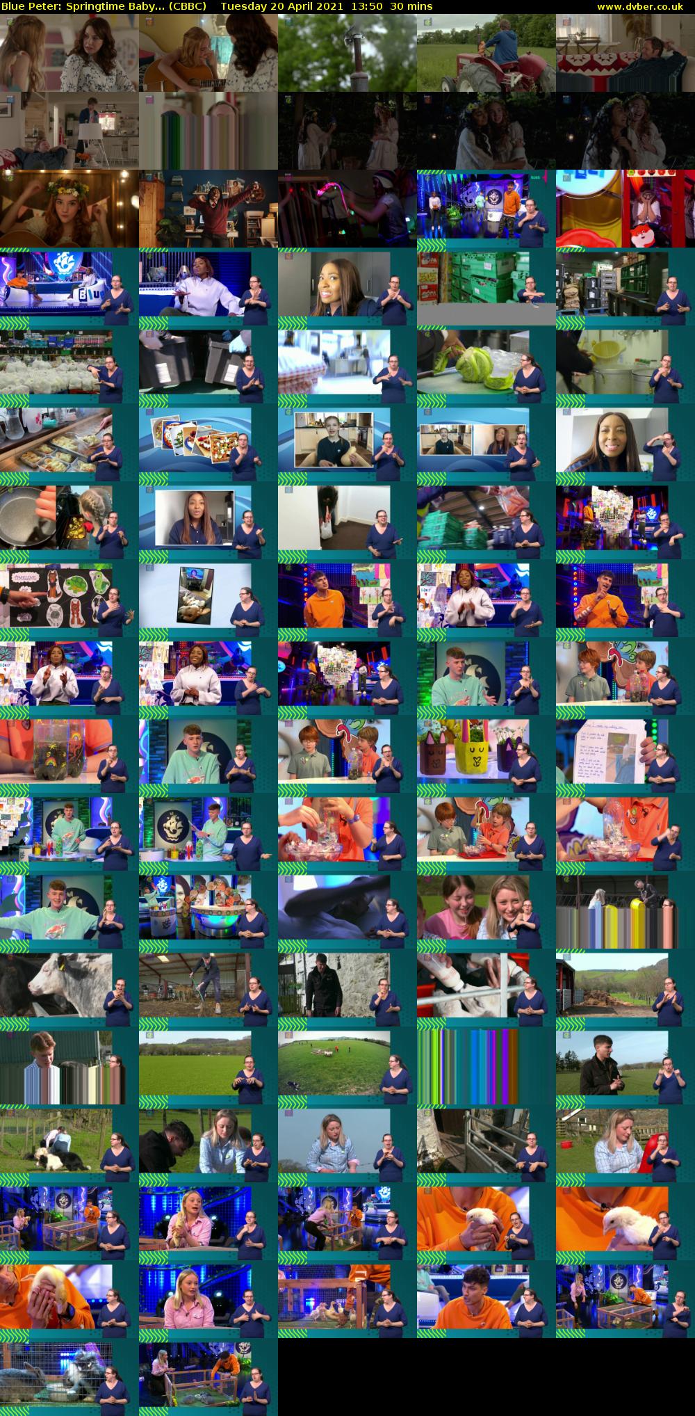 Blue Peter: Springtime Baby... (CBBC) Tuesday 20 April 2021 13:50 - 14:20