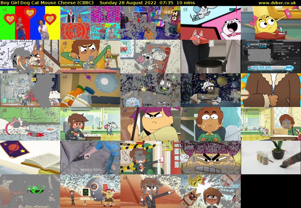 Boy Girl Dog Cat Mouse Cheese (CBBC) Sunday 28 August 2022 07:35 - 07:45
