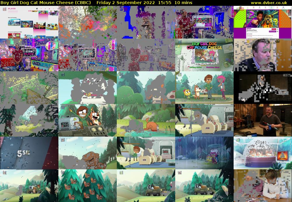 Boy Girl Dog Cat Mouse Cheese (CBBC) Friday 2 September 2022 15:55 - 16:05